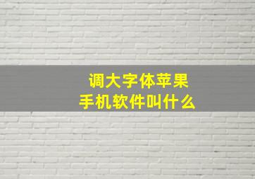 调大字体苹果手机软件叫什么