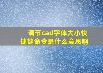 调节cad字体大小快捷键命令是什么意思啊