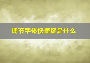 调节字体快捷键是什么