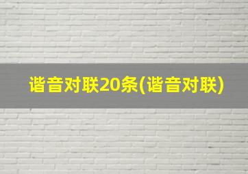 谐音对联20条(谐音对联)