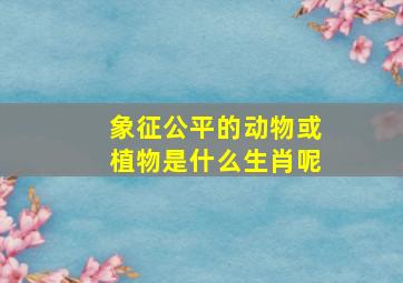 象征公平的动物或植物是什么生肖呢