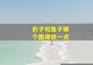 豹子和兔子哪个跑得快一点