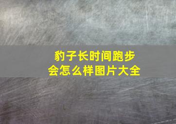 豹子长时间跑步会怎么样图片大全