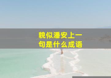 貌似潘安上一句是什么成语