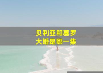 贝利亚和塞罗大婚是哪一集