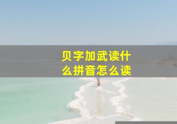 贝字加武读什么拼音怎么读