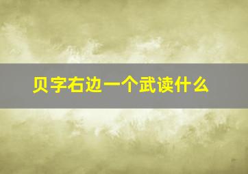 贝字右边一个武读什么