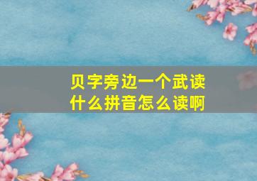 贝字旁边一个武读什么拼音怎么读啊