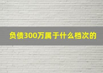 负债300万属于什么档次的