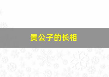 贵公子的长相