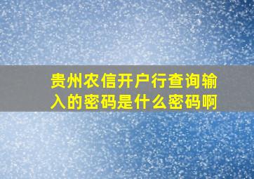 贵州农信开户行查询输入的密码是什么密码啊