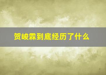 贺峻霖到底经历了什么