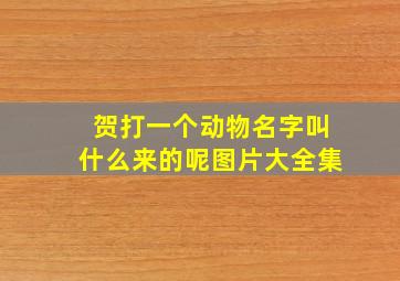 贺打一个动物名字叫什么来的呢图片大全集