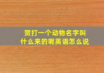 贺打一个动物名字叫什么来的呢英语怎么说