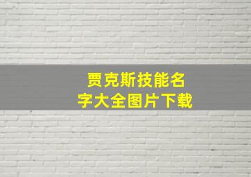 贾克斯技能名字大全图片下载