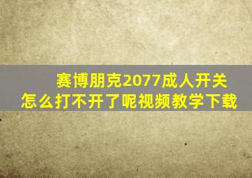 赛博朋克2077成人开关怎么打不开了呢视频教学下载