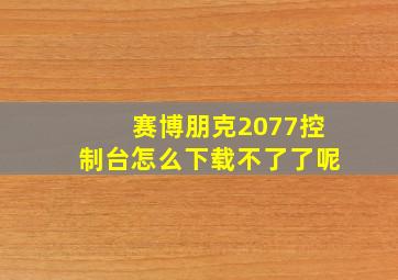 赛博朋克2077控制台怎么下载不了了呢