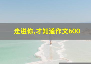 走进你,才知道作文600