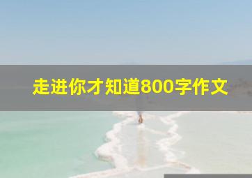 走进你才知道800字作文