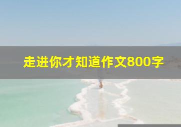 走进你才知道作文800字