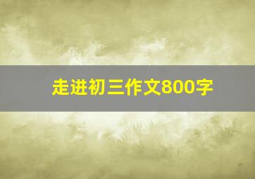 走进初三作文800字