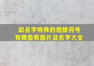 起名字特殊的翅膀符号有哪些呢图片及名字大全