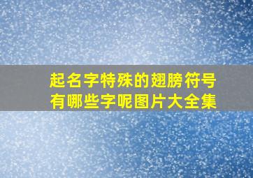 起名字特殊的翅膀符号有哪些字呢图片大全集