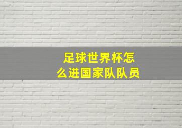 足球世界杯怎么进国家队队员