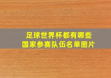 足球世界杯都有哪些国家参赛队伍名单图片