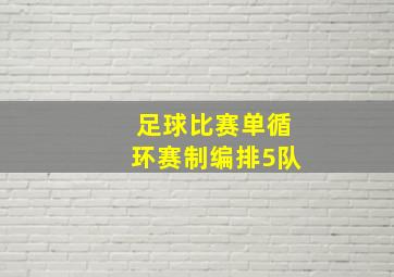 足球比赛单循环赛制编排5队