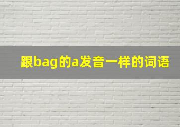 跟bag的a发音一样的词语