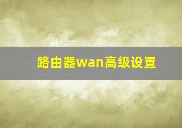 路由器wan高级设置