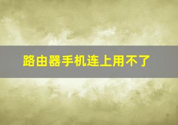 路由器手机连上用不了