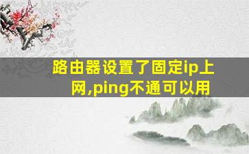 路由器设置了固定ip上网,ping不通可以用