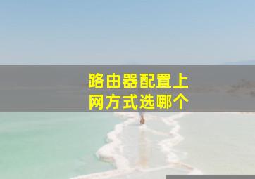 路由器配置上网方式选哪个