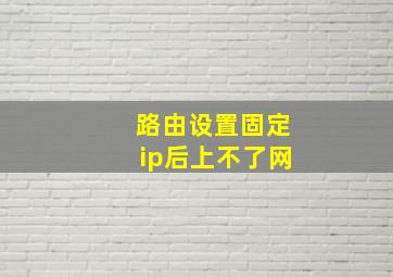 路由设置固定ip后上不了网