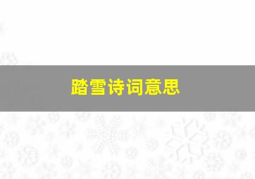 踏雪诗词意思