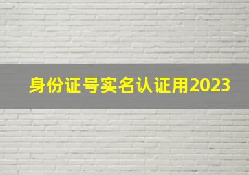 身份证号实名认证用2023