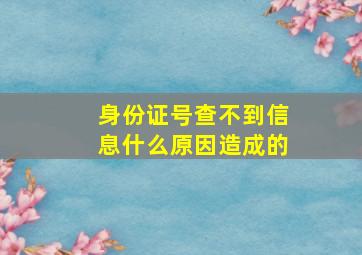 身份证号查不到信息什么原因造成的