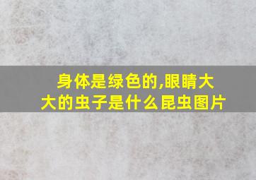 身体是绿色的,眼睛大大的虫子是什么昆虫图片