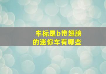 车标是b带翅膀的迷你车有哪些