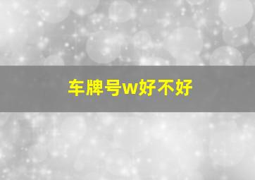 车牌号w好不好