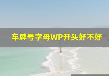 车牌号字母WP开头好不好