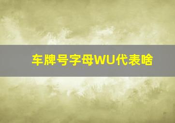 车牌号字母WU代表啥