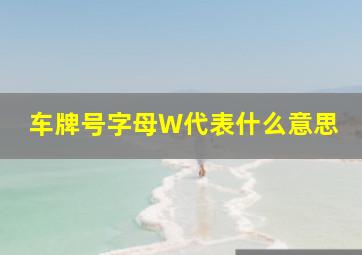 车牌号字母W代表什么意思