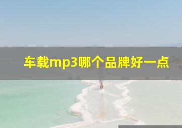 车载mp3哪个品牌好一点