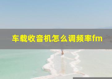 车载收音机怎么调频率fm