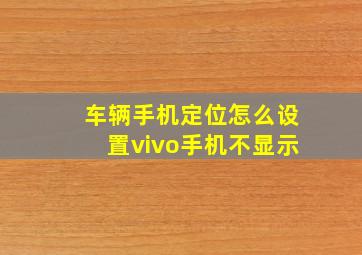 车辆手机定位怎么设置vivo手机不显示