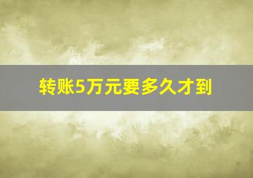 转账5万元要多久才到