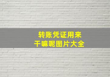 转账凭证用来干嘛呢图片大全